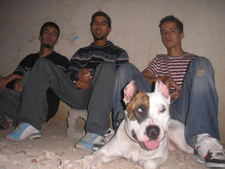 bandya de dakhla