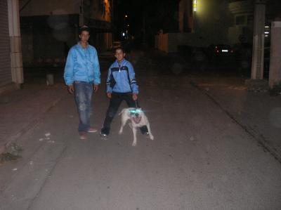 dakhla::